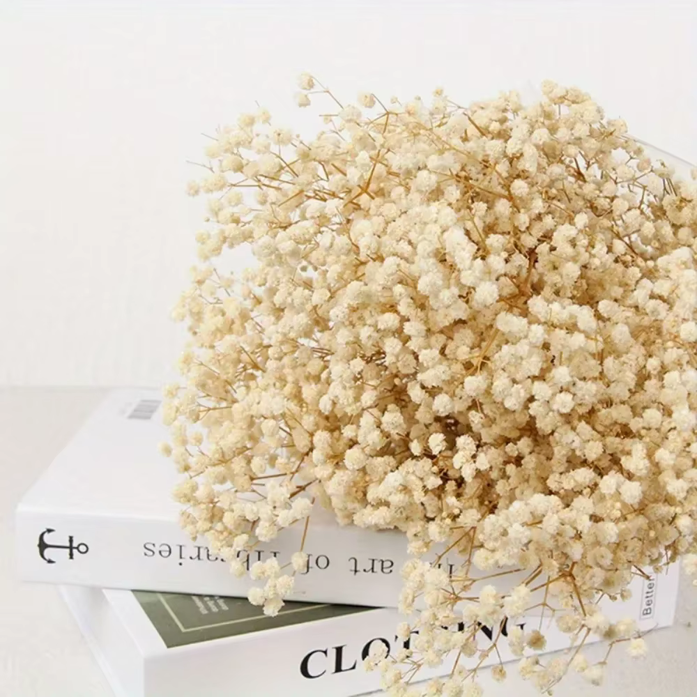 Fleurs séchées naturelles conservées, 130g, souffle de bébé, décoration de maison, gypsophile nature