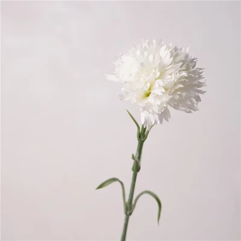 Cœillets artificiels en Latex hydratant, 10 pièces, fleur en soie au toucher réel, Bouquet de fête d