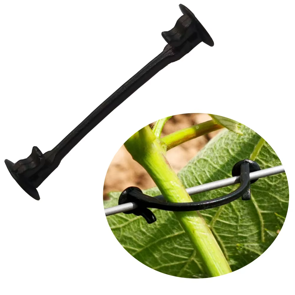 Pince de fixation pour plante de vigne, 1700 pièces, Clip de fixation pour vigne de raisin Kiwi, fle