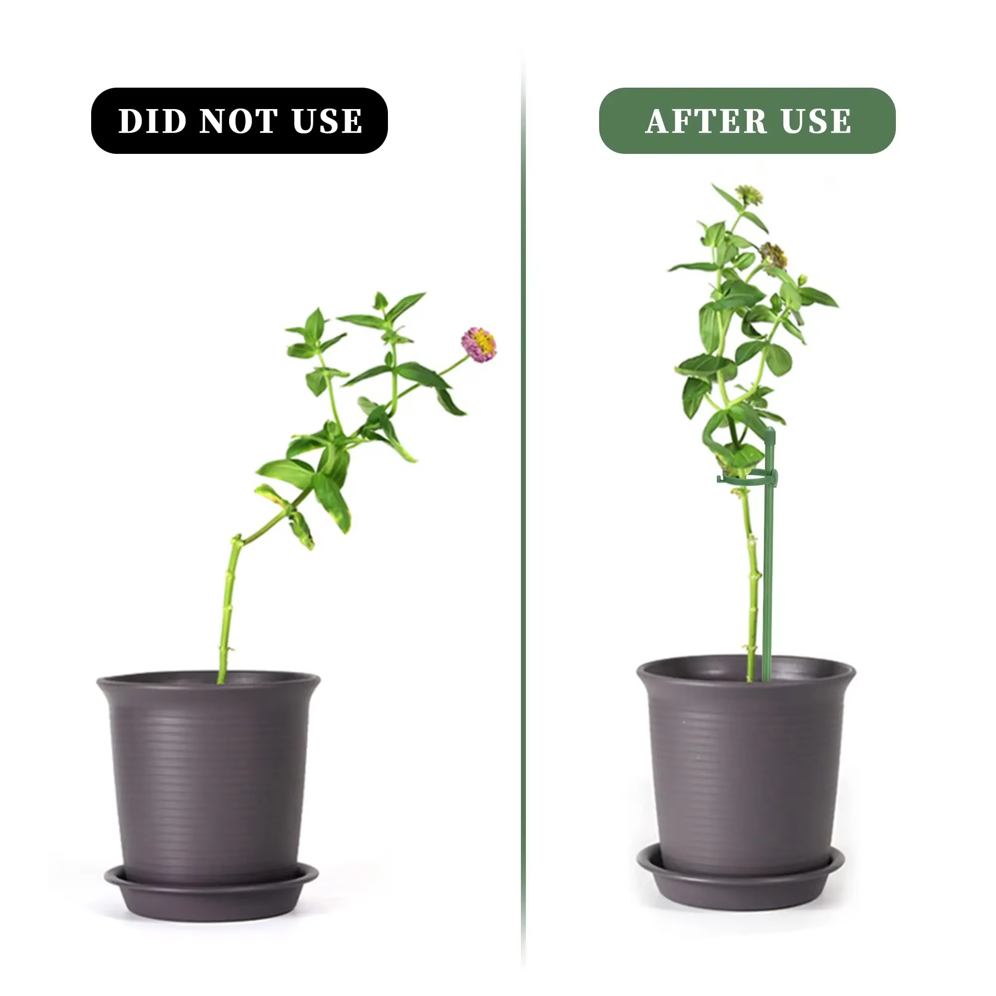 15 Pièces de Supports de Plantes Réglables, Supports de Fleurs de Jardin, Anneaux de Soutien pour Pl