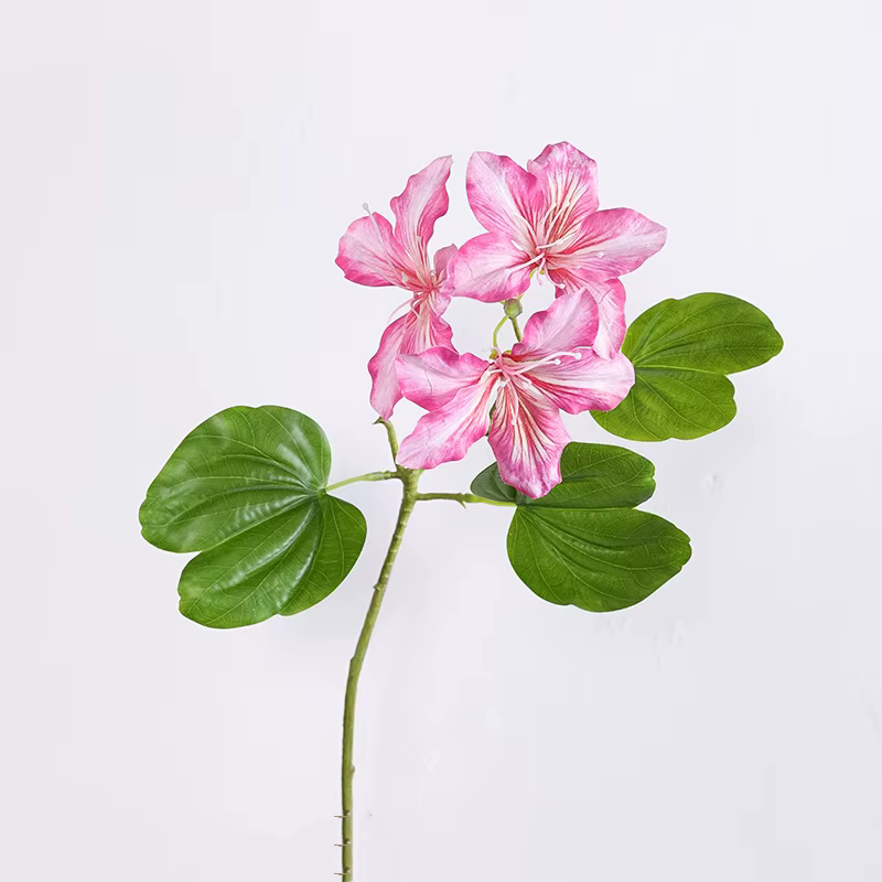 Branche de fleur Bauhinia blanche, décoration de pièce, centre de table d'hôtel, décor d'ornement, a