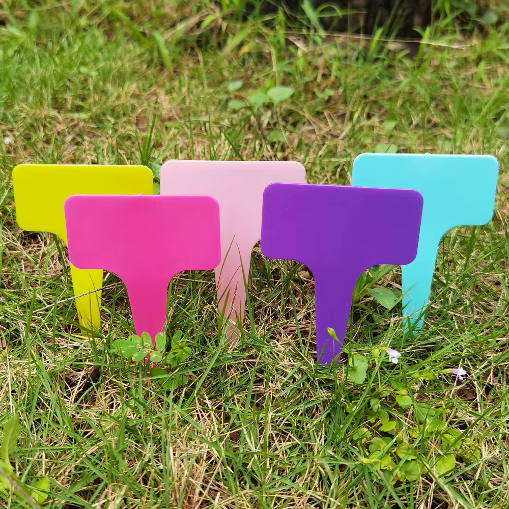 Étiquettes de plantes imperméables en plastique en forme de T, marqueur 59x98mm, pour semis de fleur