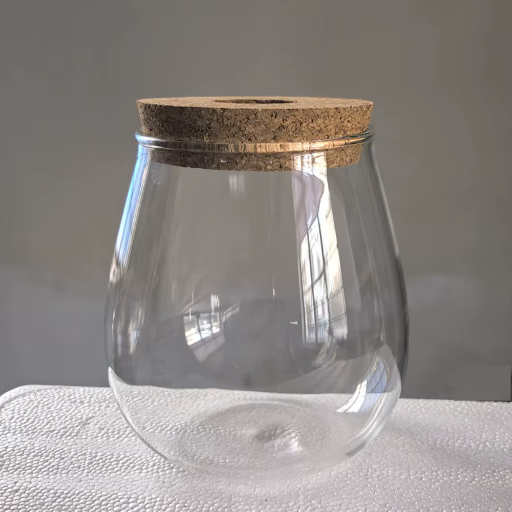Pot de fleurs hydroponique transparent en verre avec plateau en bois, station de propagation de plan
