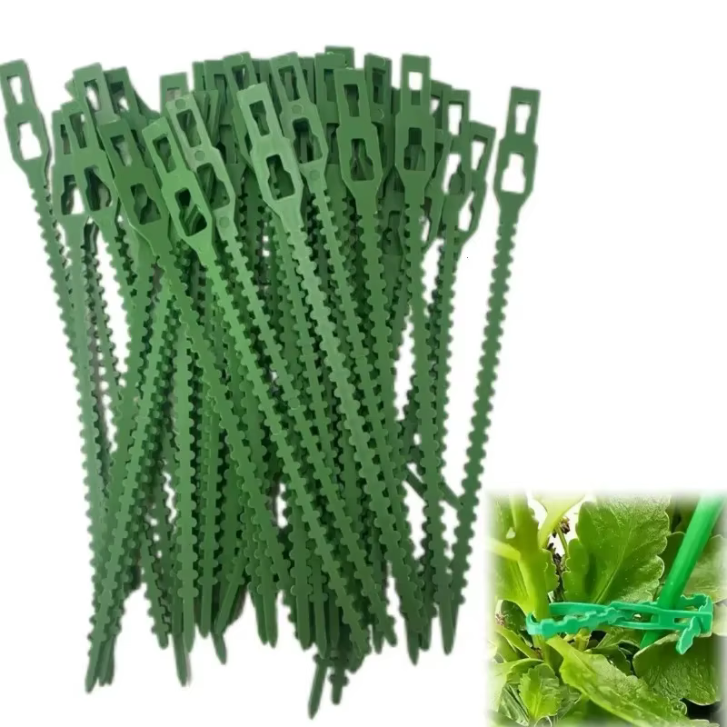 Attaches de câble réglables en plastique pour plantes, 50 à 1000 pièces, attaches de câble réutilisa