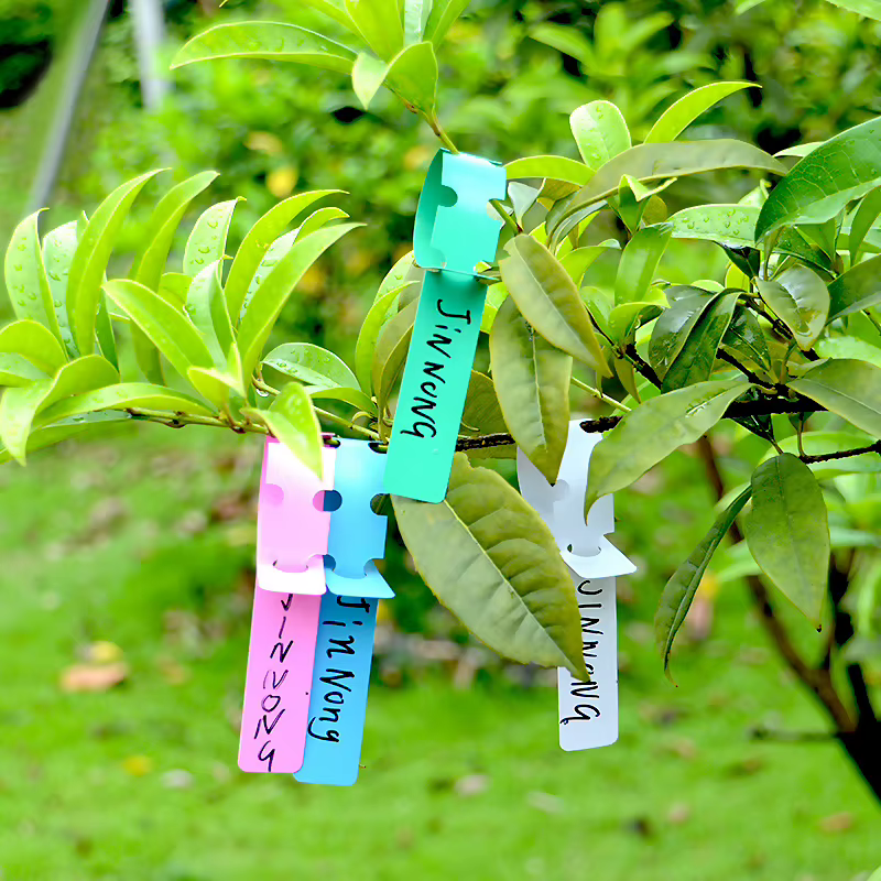 Marqueurs de plantes imperméables en plastique, étiquettes suspendues pour plantes de jardinage, out