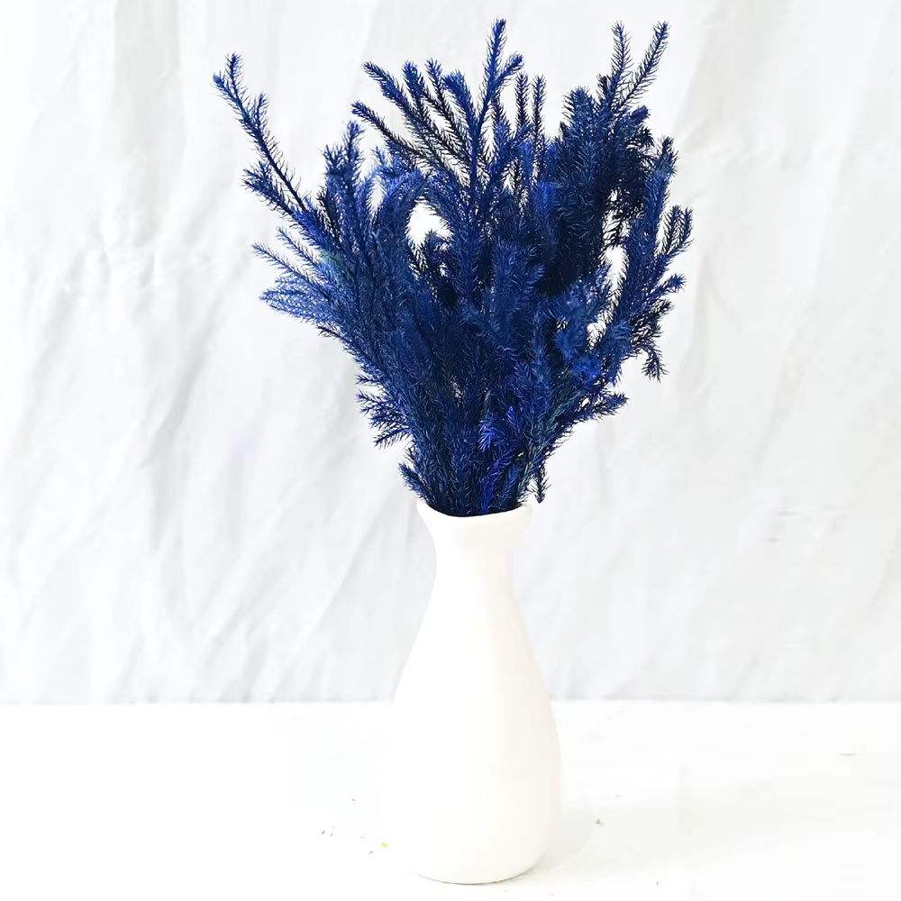 Lycopodium naturel séché pour la décoration de Noël, fleurs éternelles, plantes vertes pour la maiso
