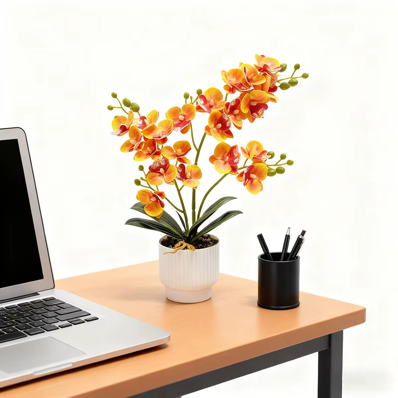 21 plantes en pot d'orchidées papillon, Arrangement floral pour la maison, décoration Texture colle,