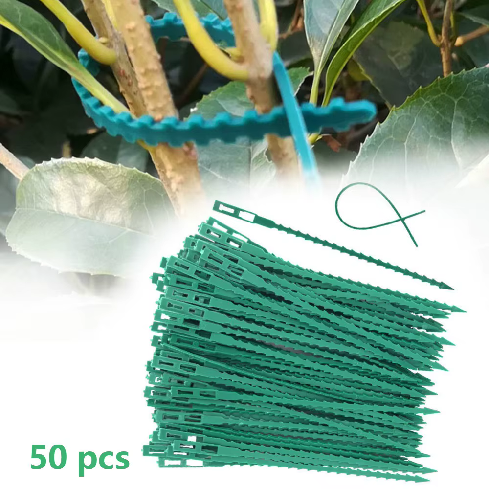 50 attaches de fixation réglables en plastique réutilisables pour plantes, supports d'escalade pour 
