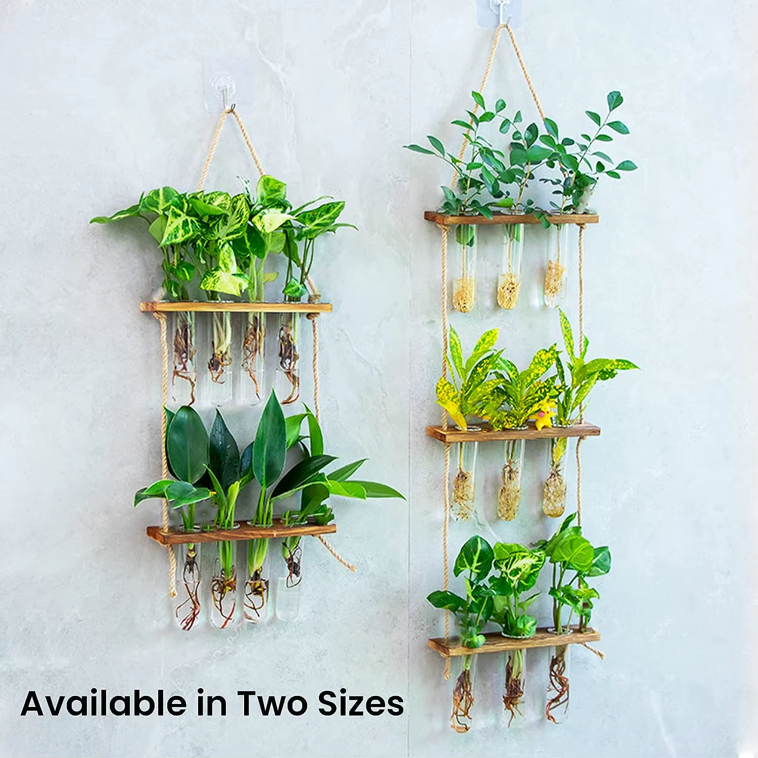 Tube à essai mural, Vase pour plantes de jardinière en verre avec support en bois et corde à cordes,
