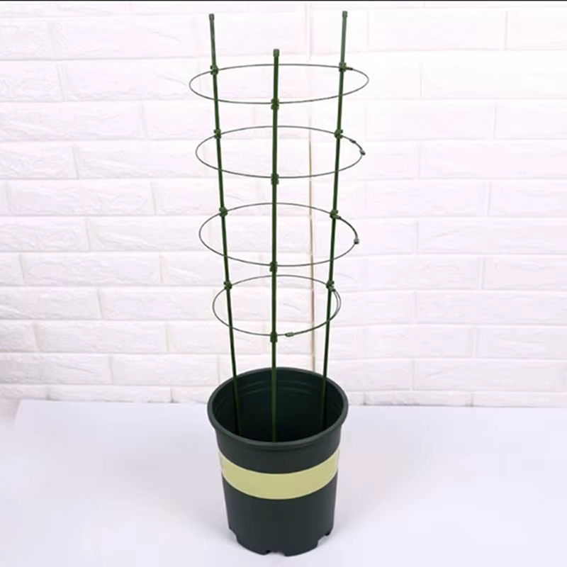 Support de vigne grimpante de 45cm, cadre de Support en pot pour plantes, en acier revêtu de plastiq