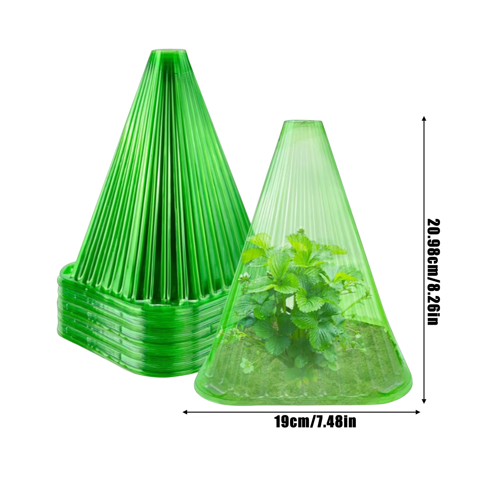 Cloche de plantes vertes, 30 pièces, couvertures avec évent, dôme d'humidité réutilisable pour intér