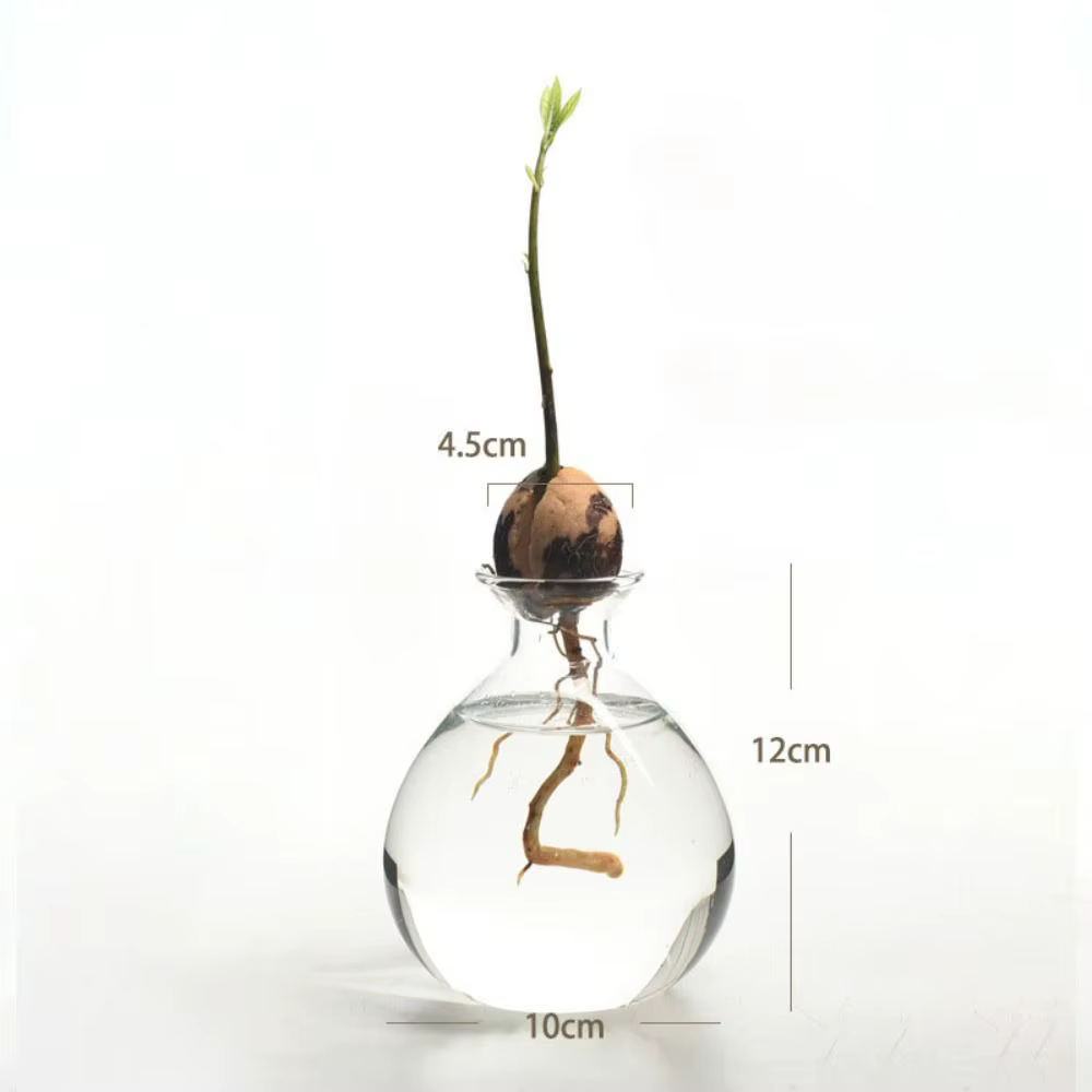 Kit de plantes en verre avec autocollants pour les amateurs de jardinage, vase de démarrage pour les
