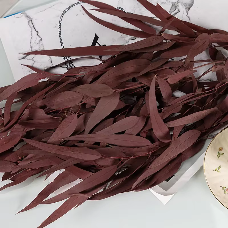 Fleur d'eucalyptus séchée naturelle, décoration de la maison, aide à la vraie plante éternelle, cuir