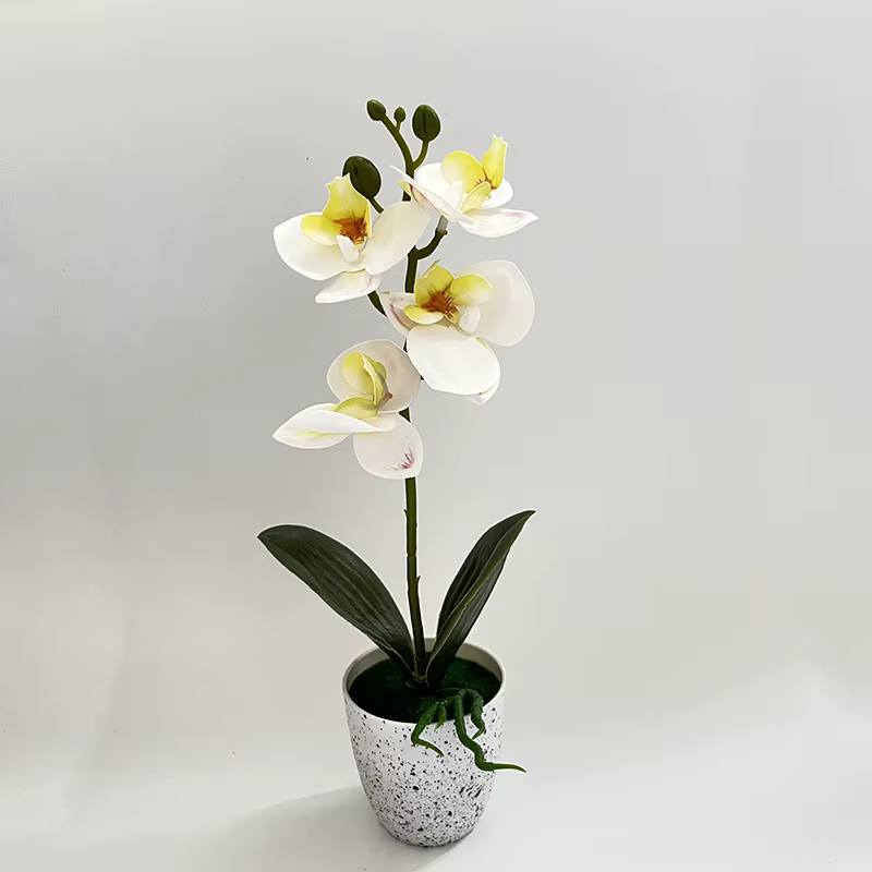 Orchidée Papillon – Ensemble de 4 fleurs en pot – Décoration de salon – Ornement en pot d'orchidée p