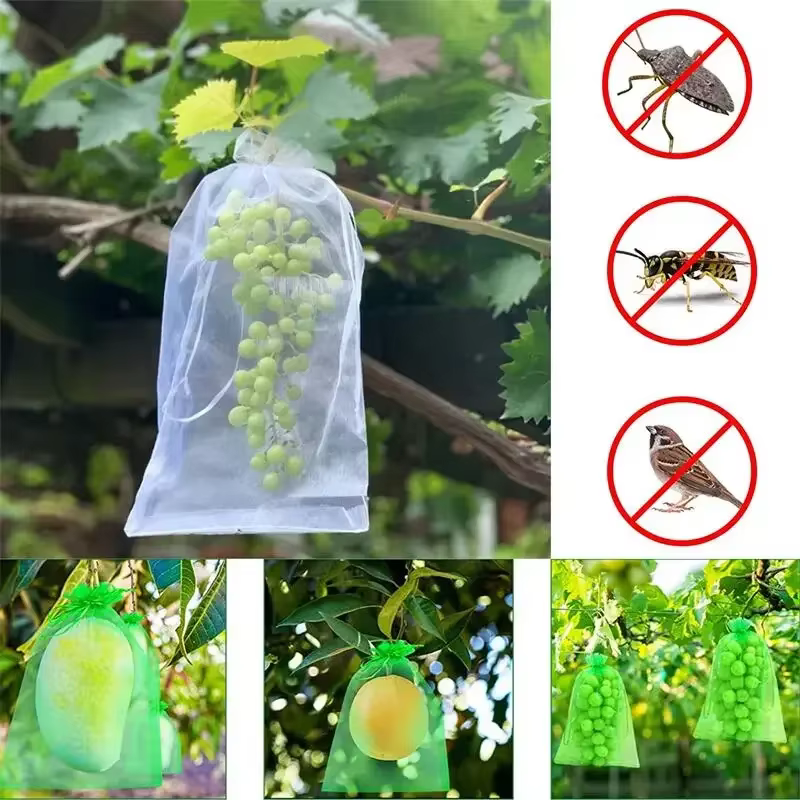 20/50/100 pièces sac de Protection de raisin sac de culture maille fruits antiparasitaires produits 