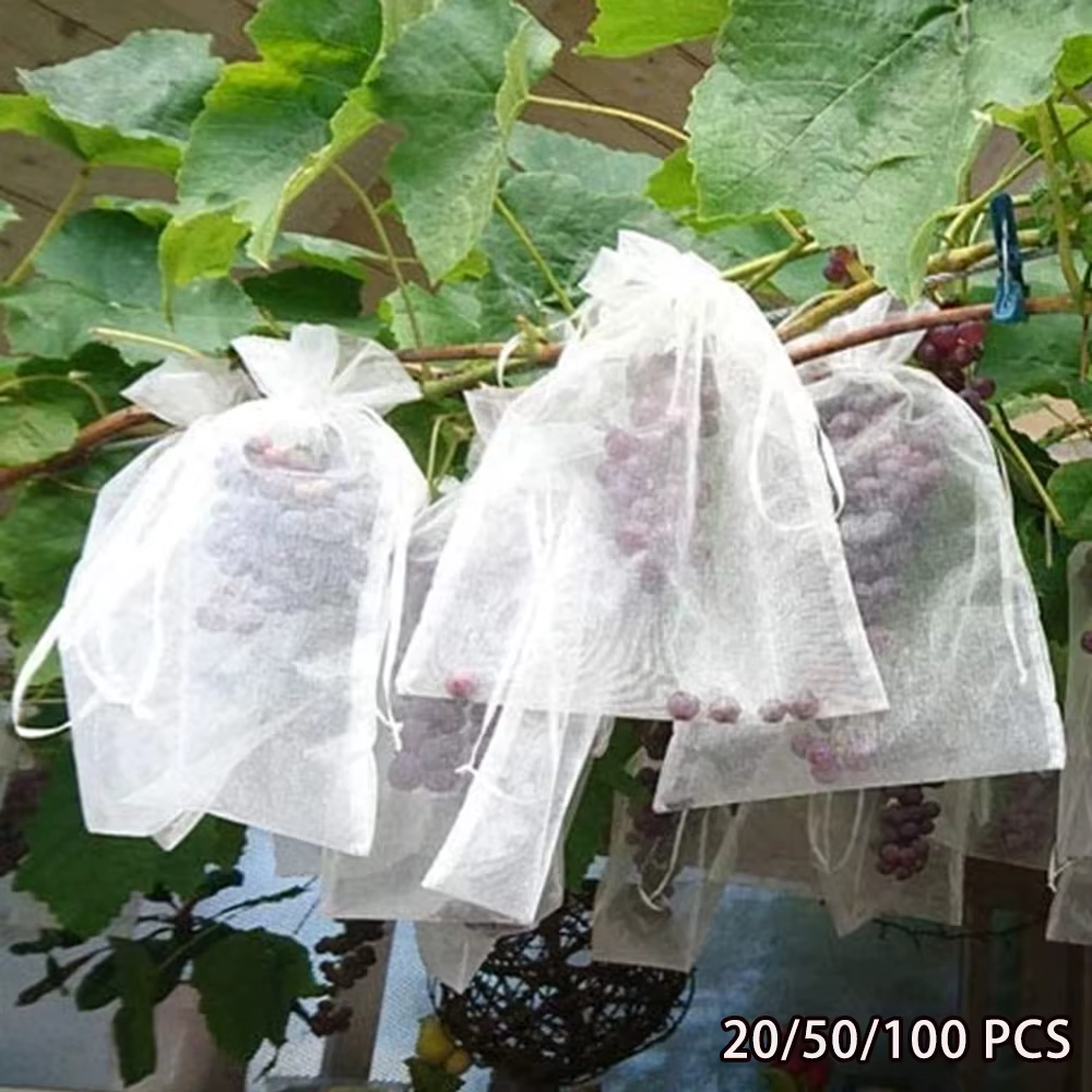 Sacs de culture de légumes et de raisins, 20 à 100 pièces, sacs de Protection des fruits, filet Anti