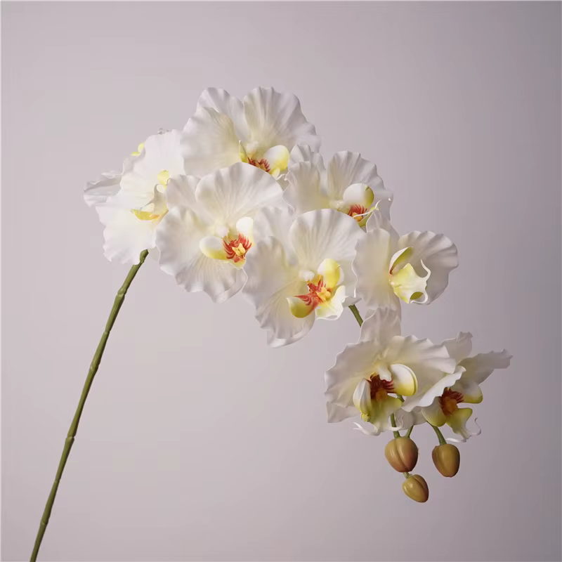 Fausses fleurs en film latex phalaenopsis, orchidée papillon, décoration de la maison, fête de maria