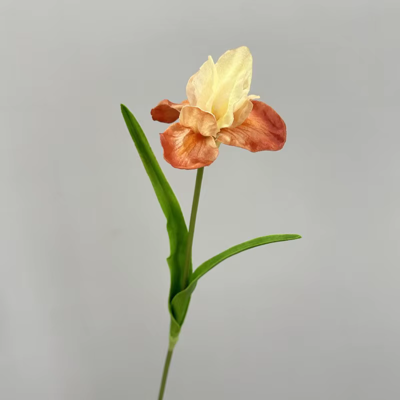10 pièces de fleurs artificielles en PU, iris blancs Alice, pour décoration de restaurant, branche d