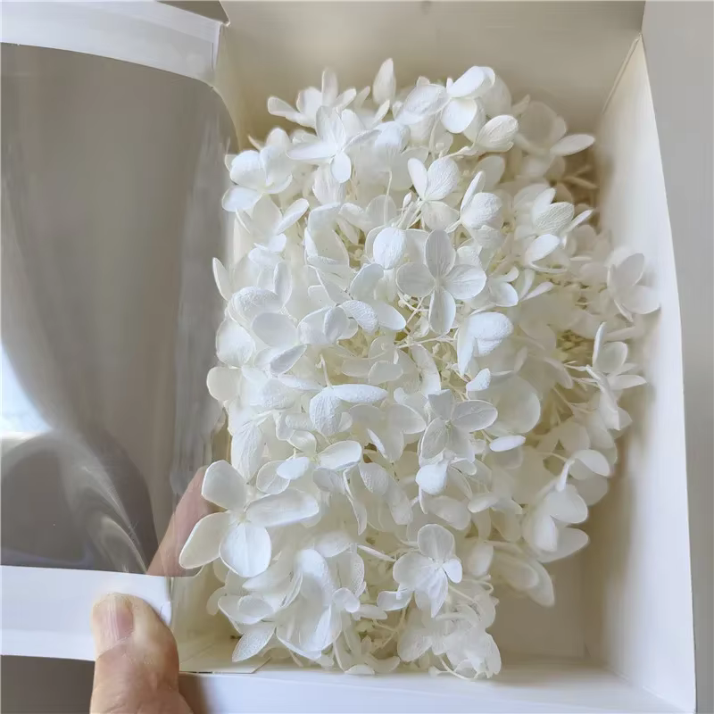 Hortensia éternel frais de niveau A, 20g, fleur, bricolage, cadeau de Saint Valentin, mariage, décor