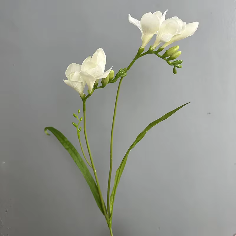 4 pièces/lot Simulation fleurs soie parfumée neige orchidée fausse fleur balcon décoratif artificiel