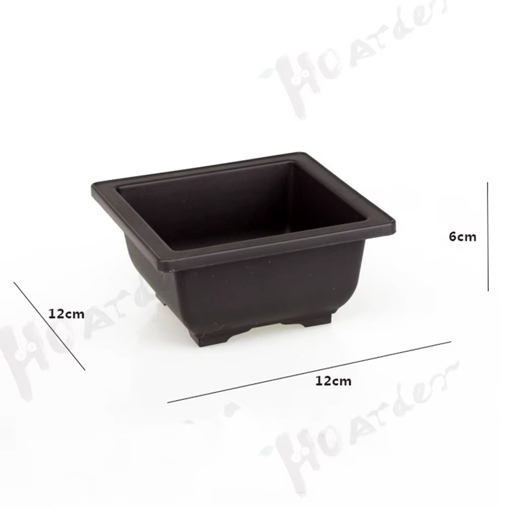 Pots d'entraînement avec plateau en plastique pour plantes bonsaï, carré pour fleurs, succulentes Po