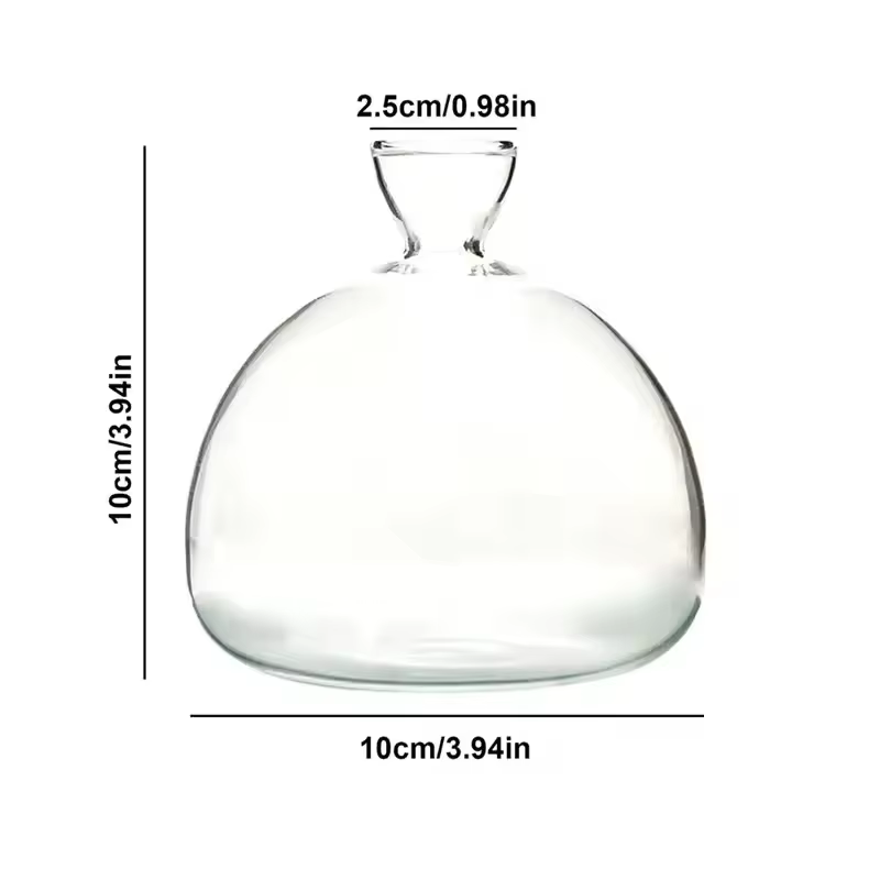 Vase de démarrage pour graines d'avocat, Kit de culture d'avocat transparent, Pot de culture d'avoca