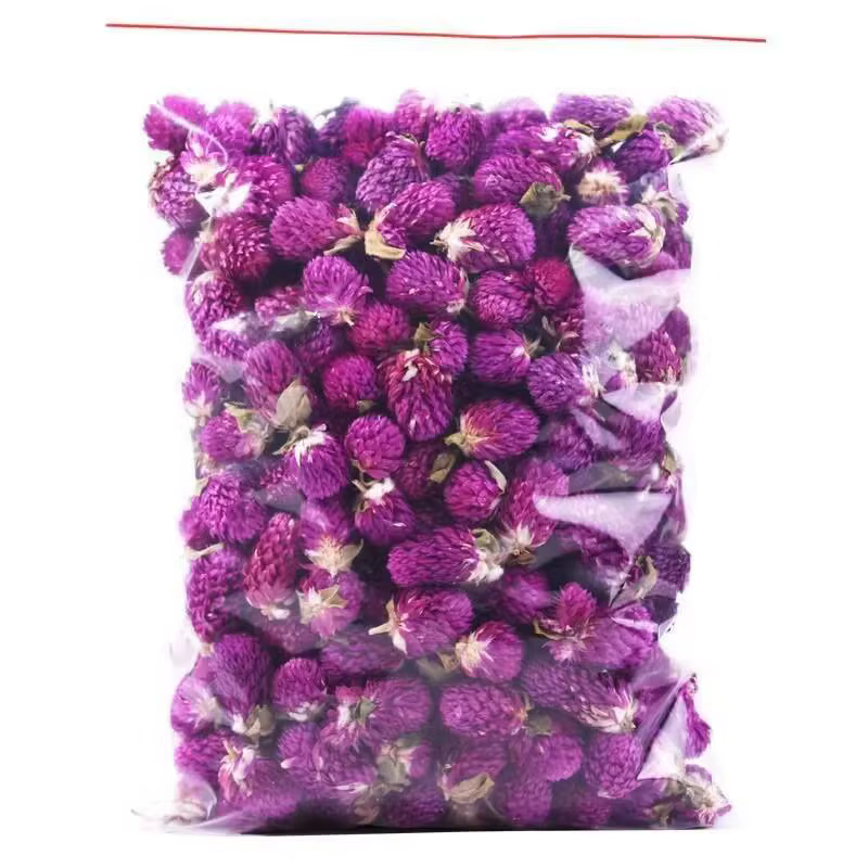 Fleurs d'amarante globe séchées naturelles de qualité supérieure pour la décoration de la maison et 