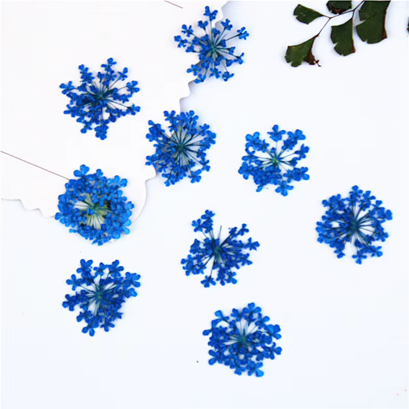 PMurcia-Fleurs en dentelle, goutte de neige, plante, herbier pour nail art, accessoires artisanaux, 
