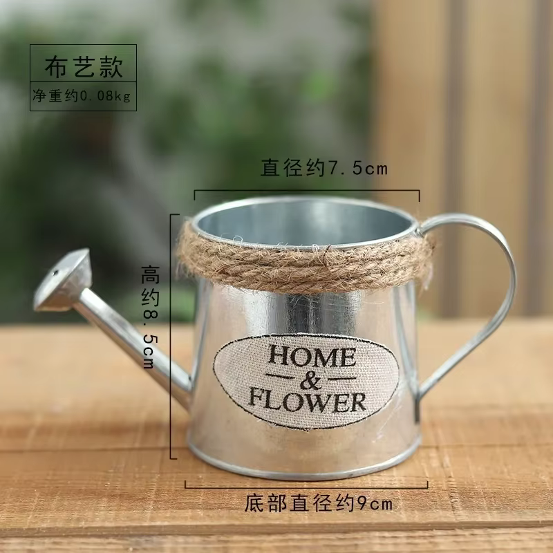 Petit arrosoir en fer, Pots seau en fer rétro pour fleurs, ornements de jardin de maison, décoration