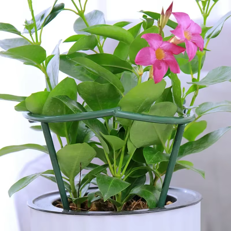Support de Pile pour plantes, cadre demi-cercle, Support de tige fixe, Arrangement de jardinage, Sup