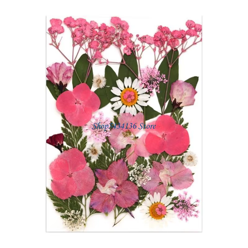 Fleur séchée pressée H7 pour moule en résine Feuilles fleurs séchées pressées naturelles pour le feu