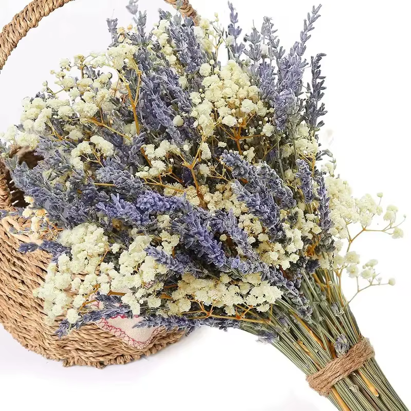 Bouquet de Fleurs vaccées Naturelles, Mélange de Lavande, pouvez-vous psophile Boho, Décoration de M