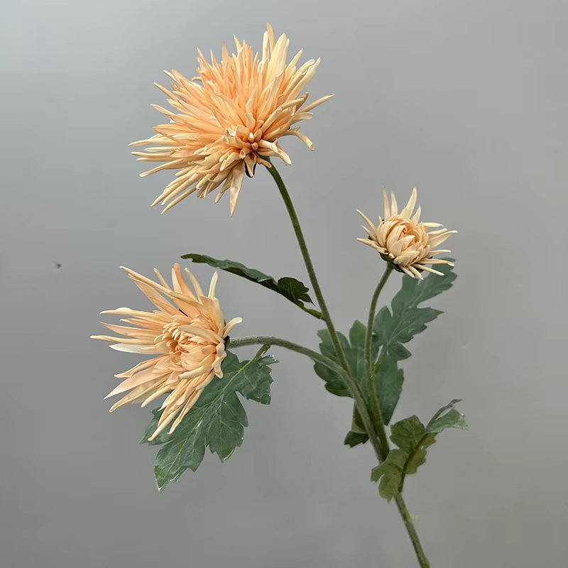Crabe Griffe Chrysanthème Fleurs Artificielles, Vraie Touche Fausse Fleur pour la Maison, Décoration
