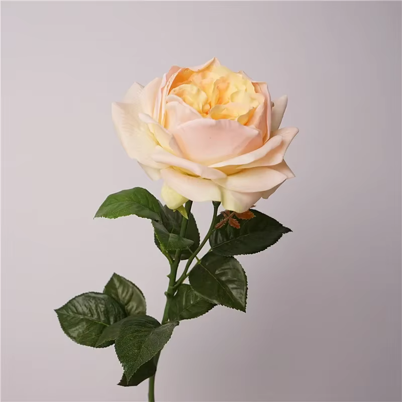 Roses Artificielles en Latex, 5 Pièces, Décoration de Luxe pour la Maison, ix, Événement, Mariage, B