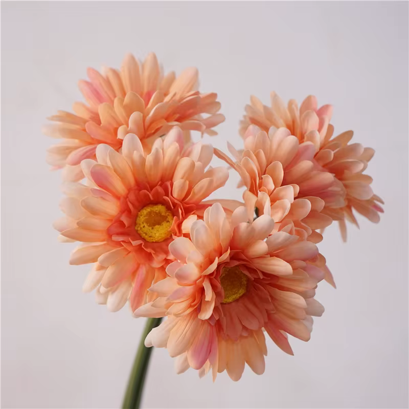 Bouquet de marguerites artificielles en Latex, Simulation de fleur au toucher réel, marguerites Oran