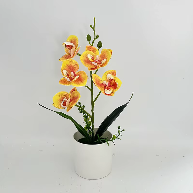 Simulation de 5 fleurs, orchidée papillon, plantes en pot, décoration de salle de mariage, fausse fl