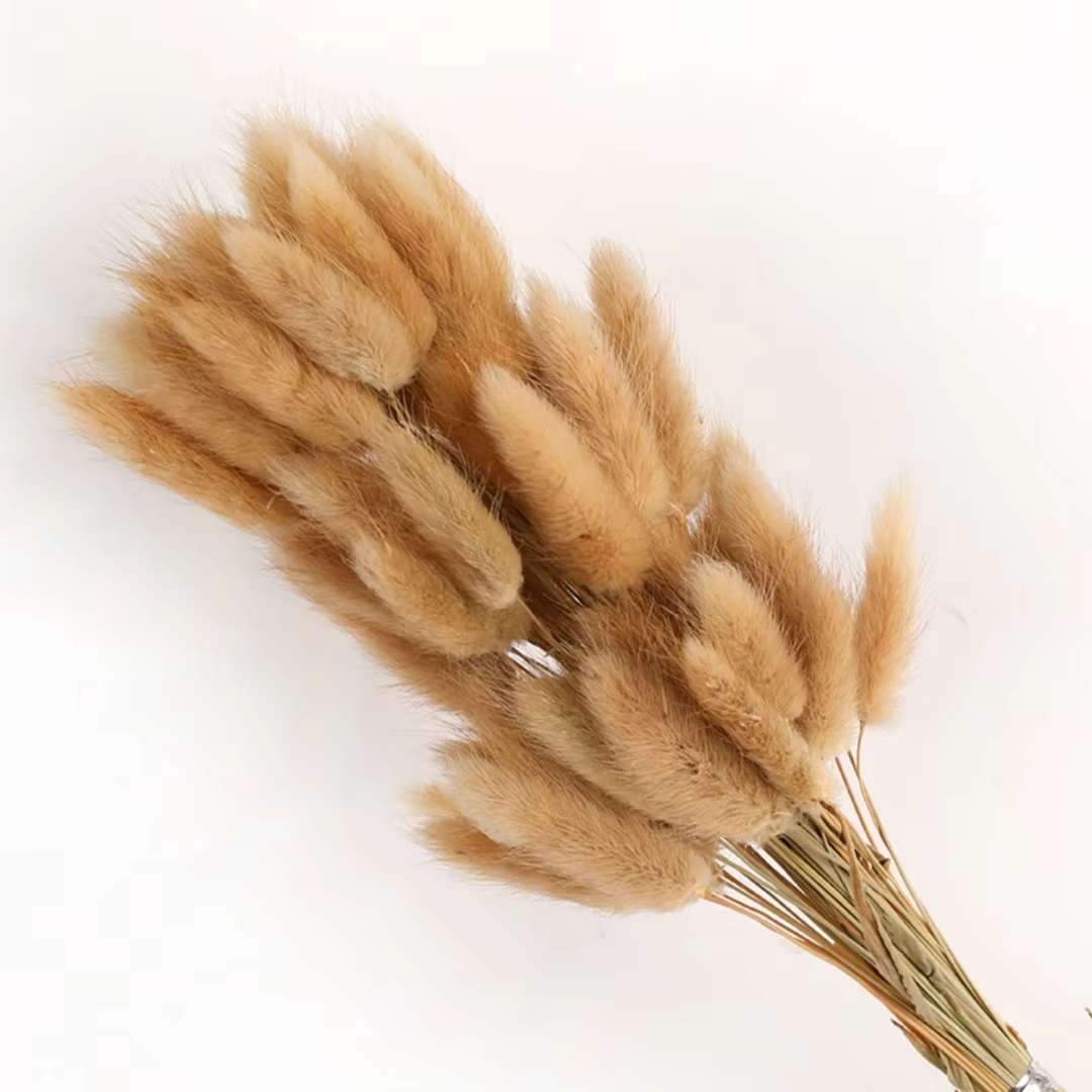 100 pièces naturel lapin queue de lapin herbe vraie fleur séchée décor à la maison Bouquet coloré La