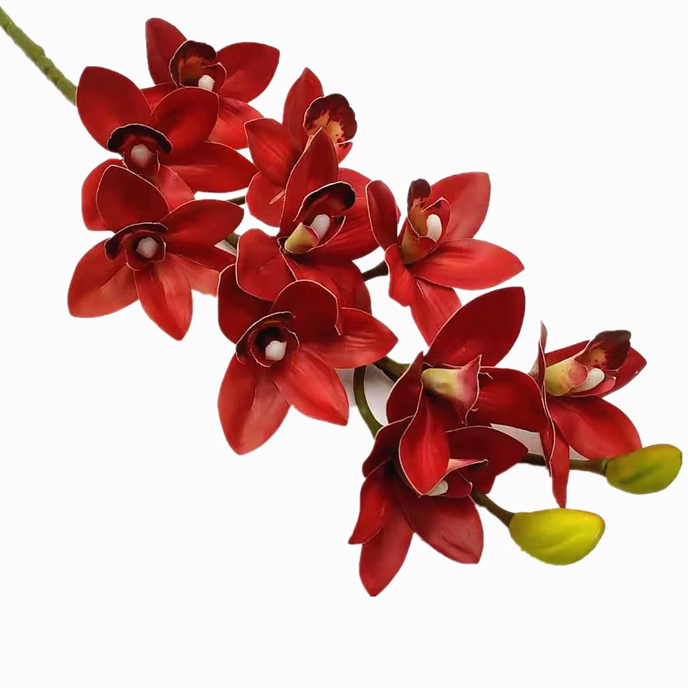 Phalaenopsis Élau toucher réaliste, plante d'orchidée, vanda, cymbidium, tigre