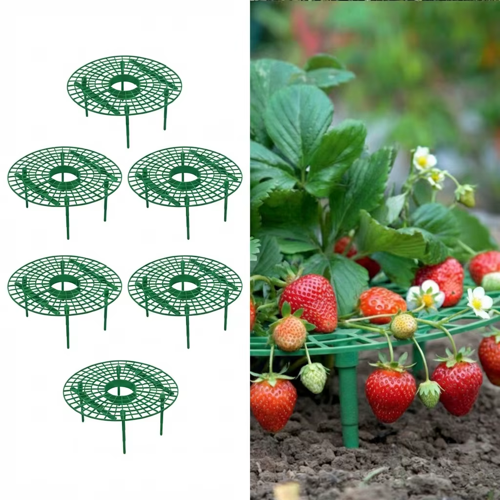 Supports pour plantes de fraises, grande taille, 6 pièces, supports de culture de fraises, cadre de 