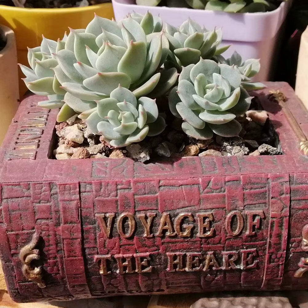Pot à plantes succulentes en forme de livre, pot de fleurs, ornement de bureau, pot de fleurs de tab