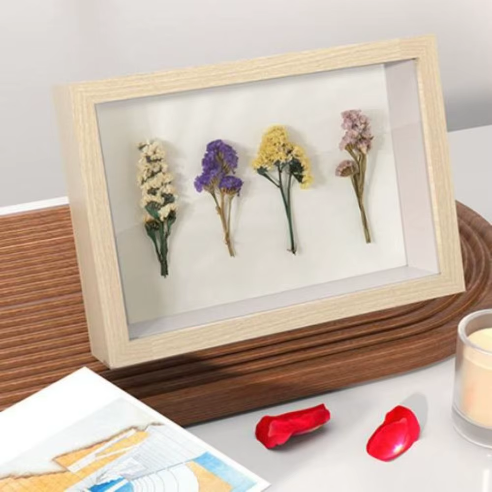 Boîte de rangement en bois pour spécimen d'ombre de fleur de noix de coco, affichage de photo profon