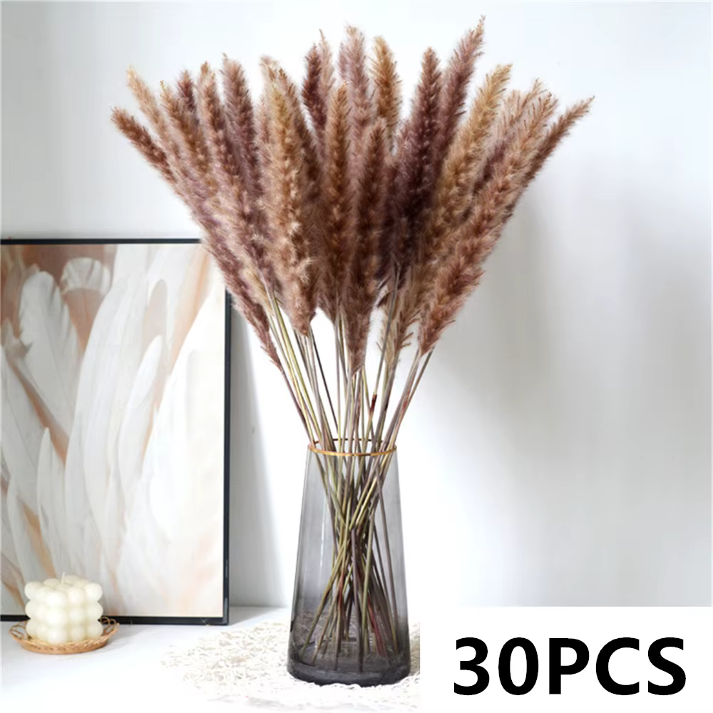 Bouquet de roseaux des marais séchés naturels, fleurs de mariage, phragmites moelleux, herbe d'amour