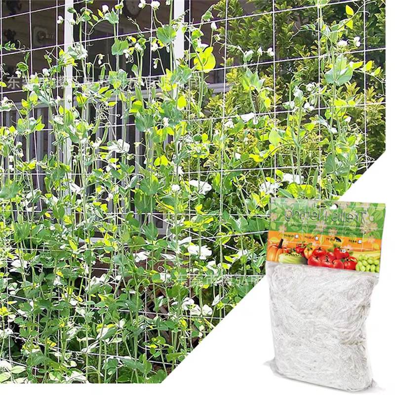 Filet d'escalade en maille pour plantes, filet de luffa pour téléphones, fleurs de vigne de gloire,