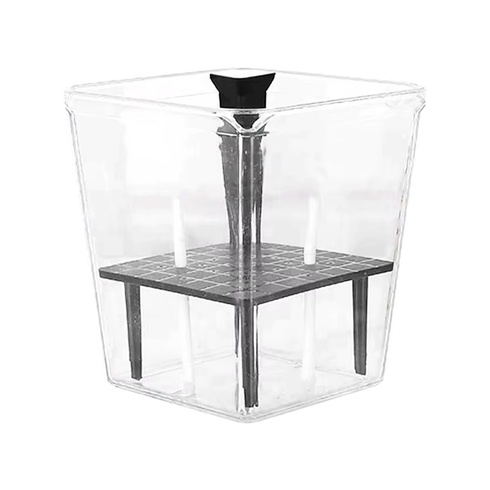 Pots à fleurs auto-arrosants avec trous de ventilation, jardinière transparente, vase décoratif dome