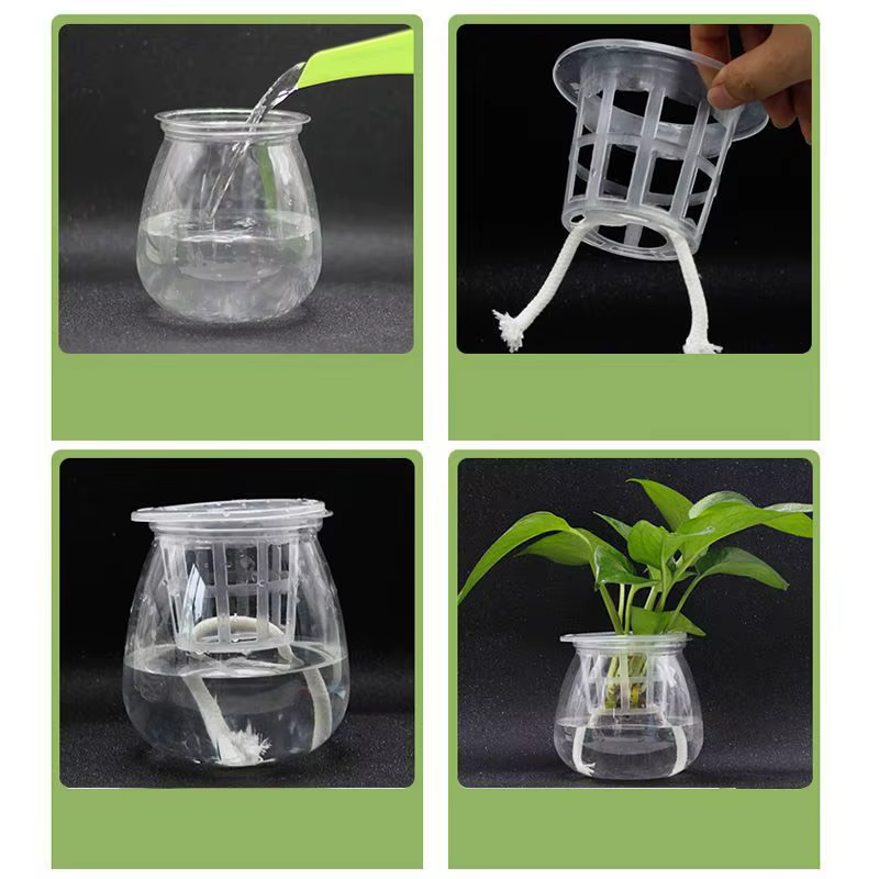 Filet en maille hydroponique sans sol, 50 pièces, panier pour plantes, légumes, tasse de pépinière,