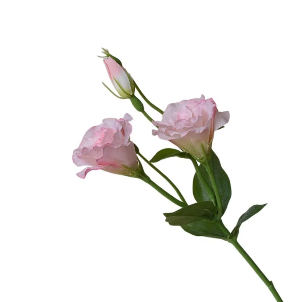 Fleurs artificielles Lisianthus au toucher réel, fleurs en soie réalistes, fausses fleurs d'Eustoma,
