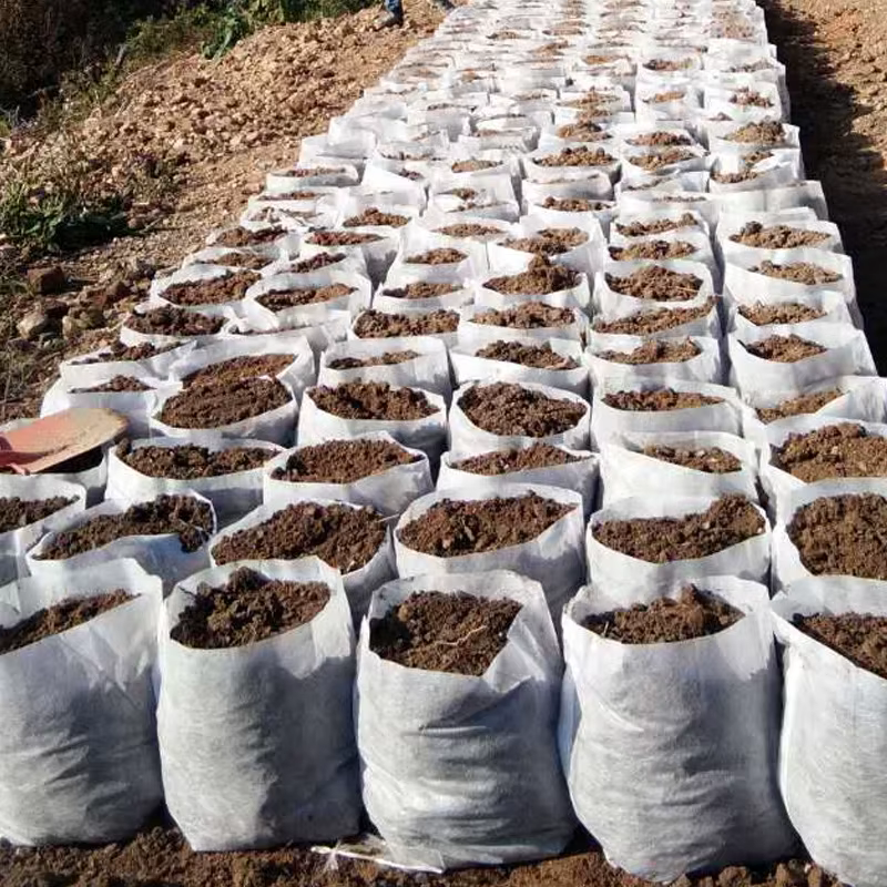 Pots de semis Non tissés biodégradables, 100 pièces, différentes tailles, sacs de plantation écologi