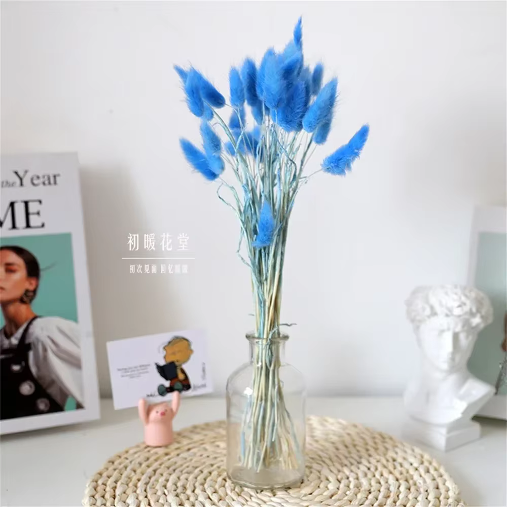 Fleurs naturelles séchées pour décoration de gâteau, bouquet de fleurs blanches colorées, vraie queu