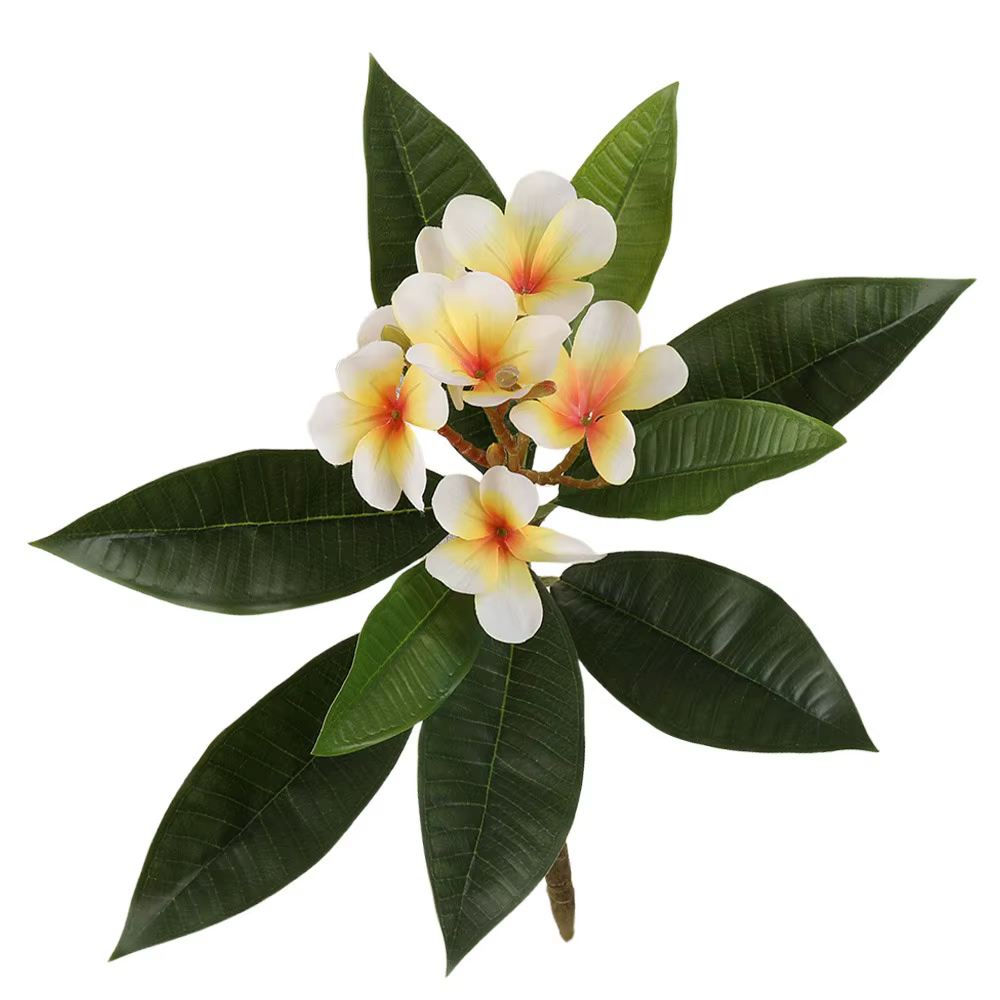 Fleurs de Plumeria artificielles au toucher réel, bricolage avec feuilles vertes, Simulation de bran