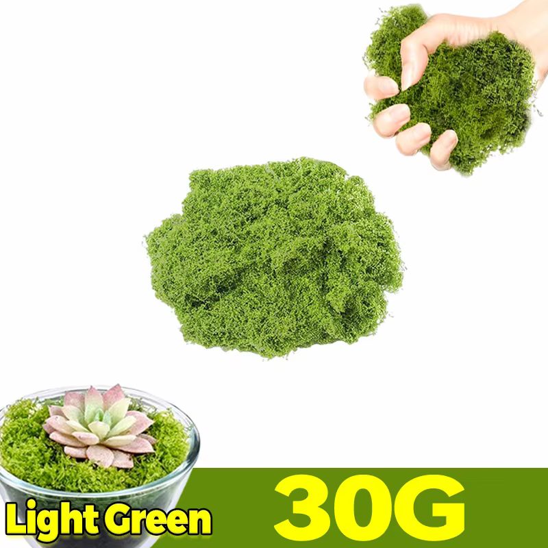 Plantes artificielles en mousse verte 30-300g, mousse éternelle, plante en pot, fausse fleur, décora